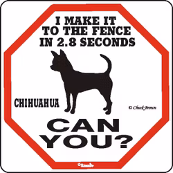 Skylt, 2.8 seconds – Chihuahua