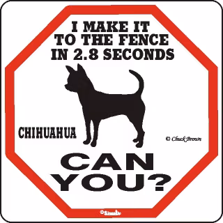 Skylt, 2.8 seconds – Chihuahua