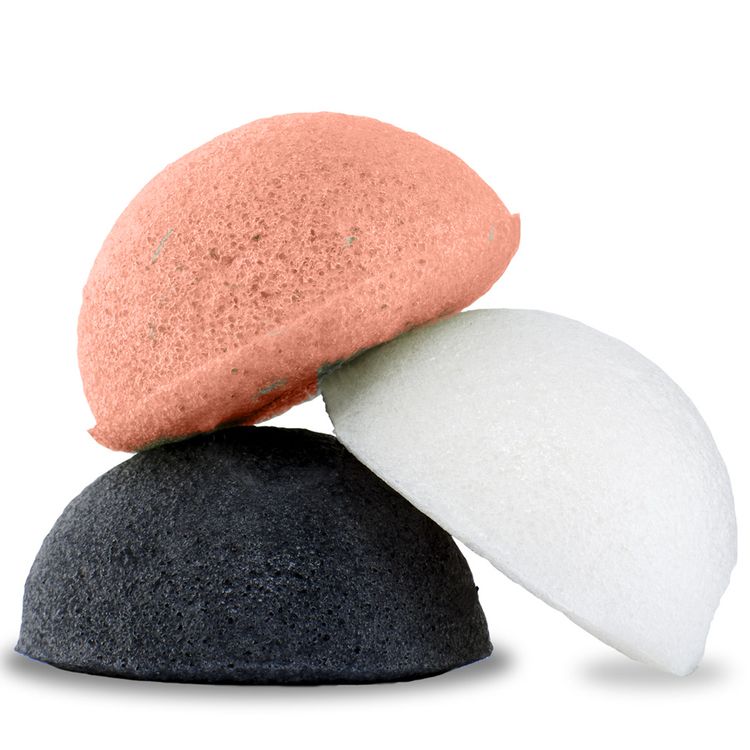 Konjac-sieni (3 kpl)