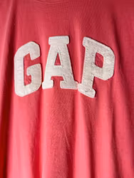 Tisha Gap