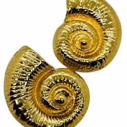 Örhängen snäckor i guld