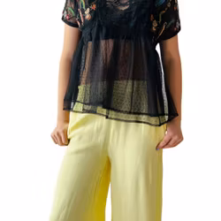 Transparent topp med broderier