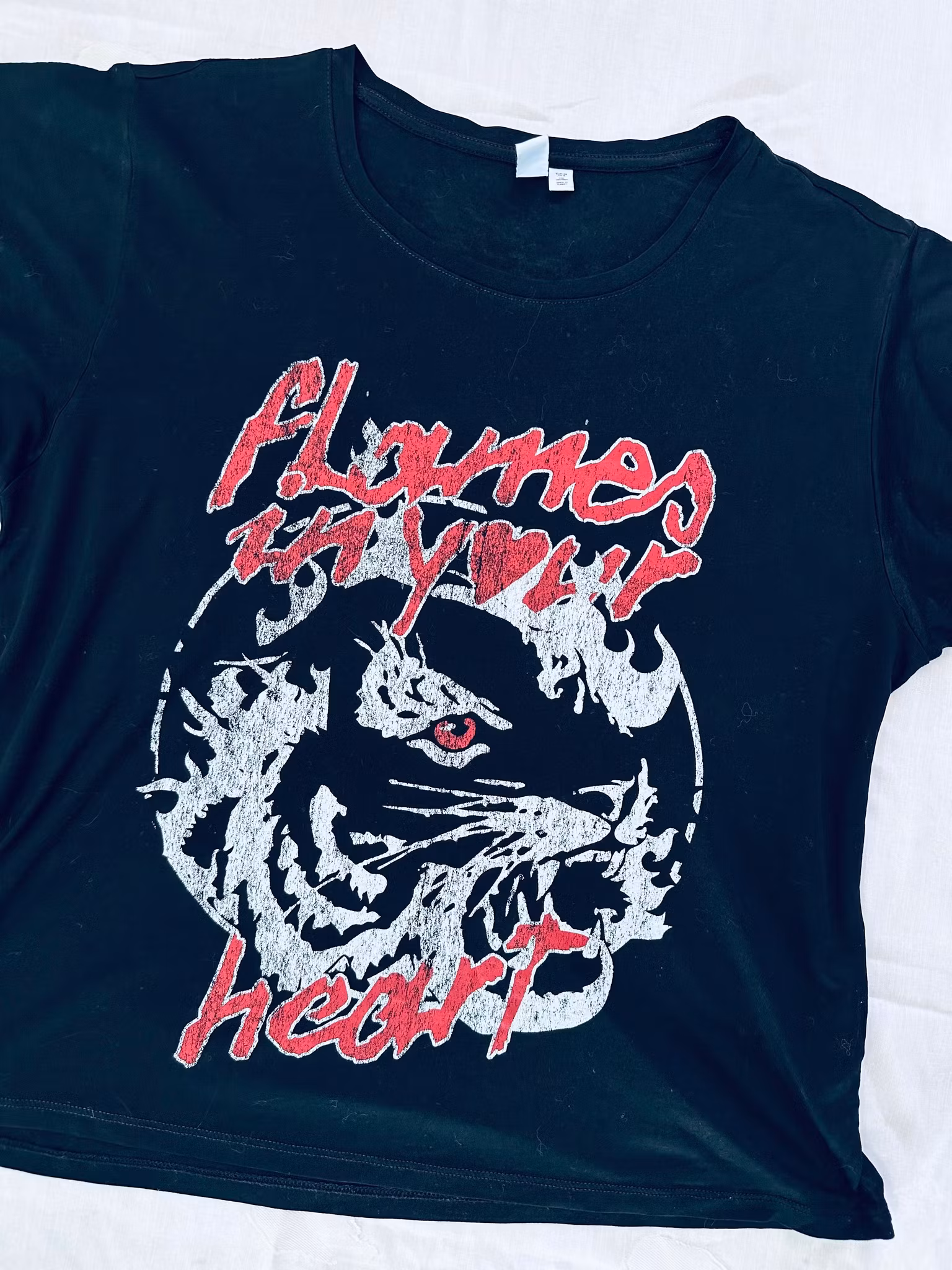 OTHER STORIES tisha med tiger