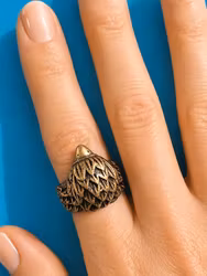 Ring rovfågel