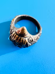 Ring rovfågel