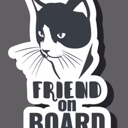 Friend on board (Katt)