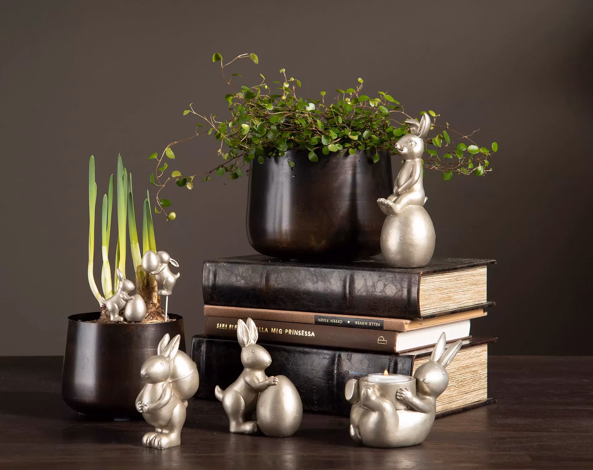 Kanin med ägg på ryggen Champagne