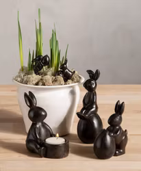 Kanin med ägg på ryggen Brun