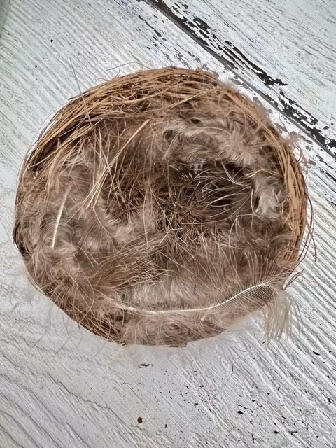 Fågelbo med fjädrar 3-pack