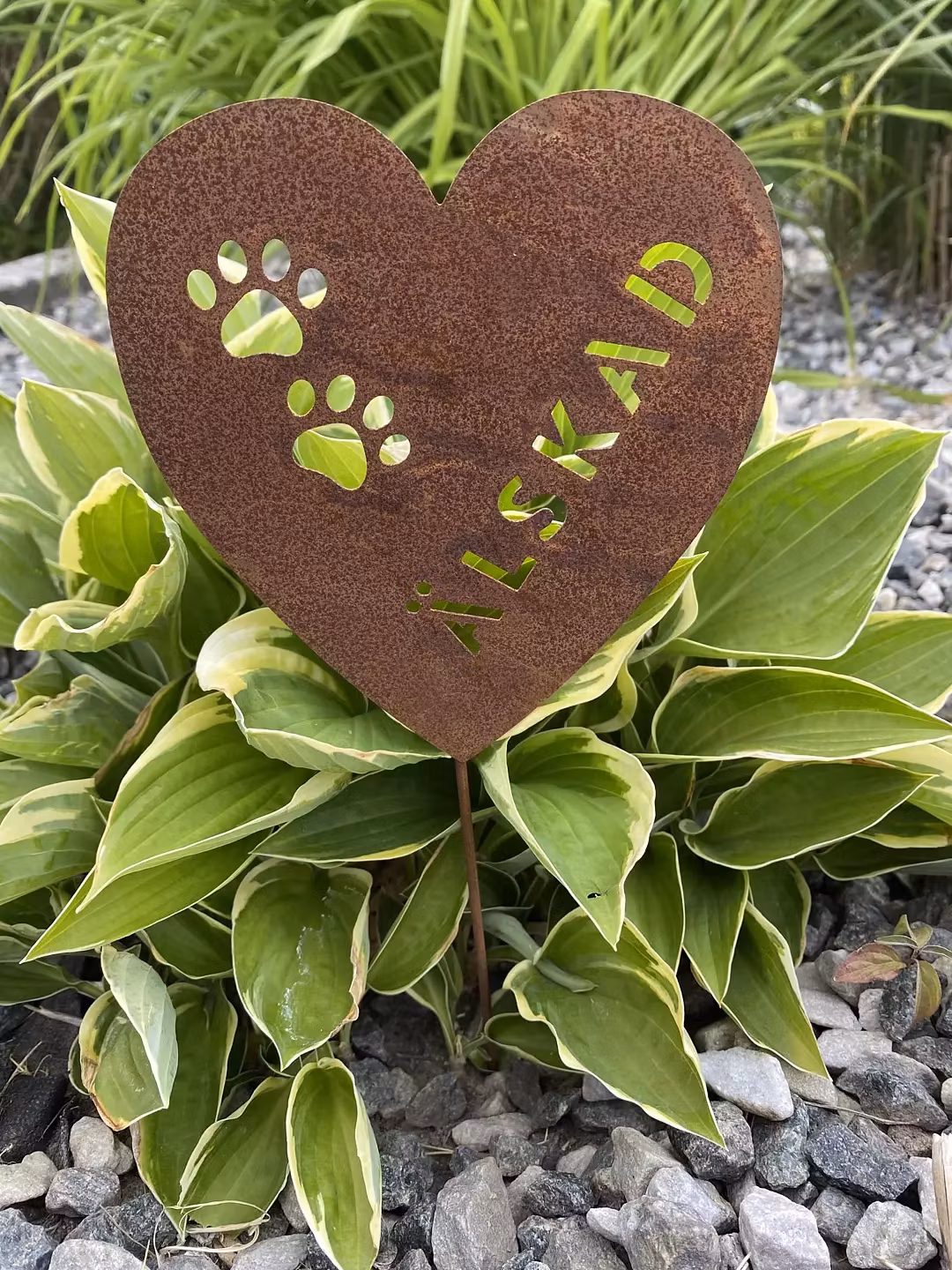 Hjärta med tassar älskad