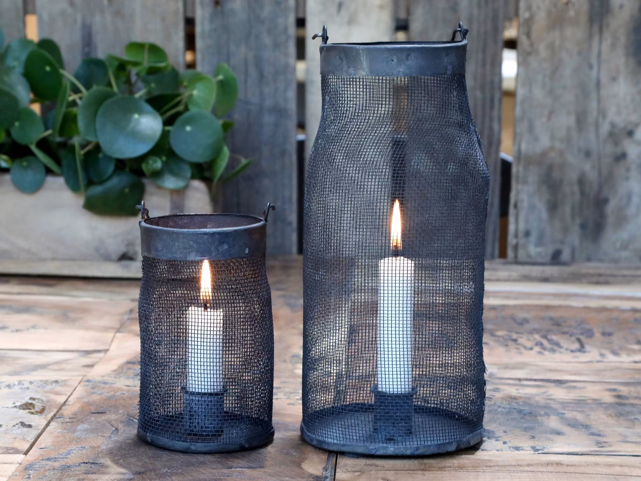 Lykta med nät för böneljus 13,5 cm