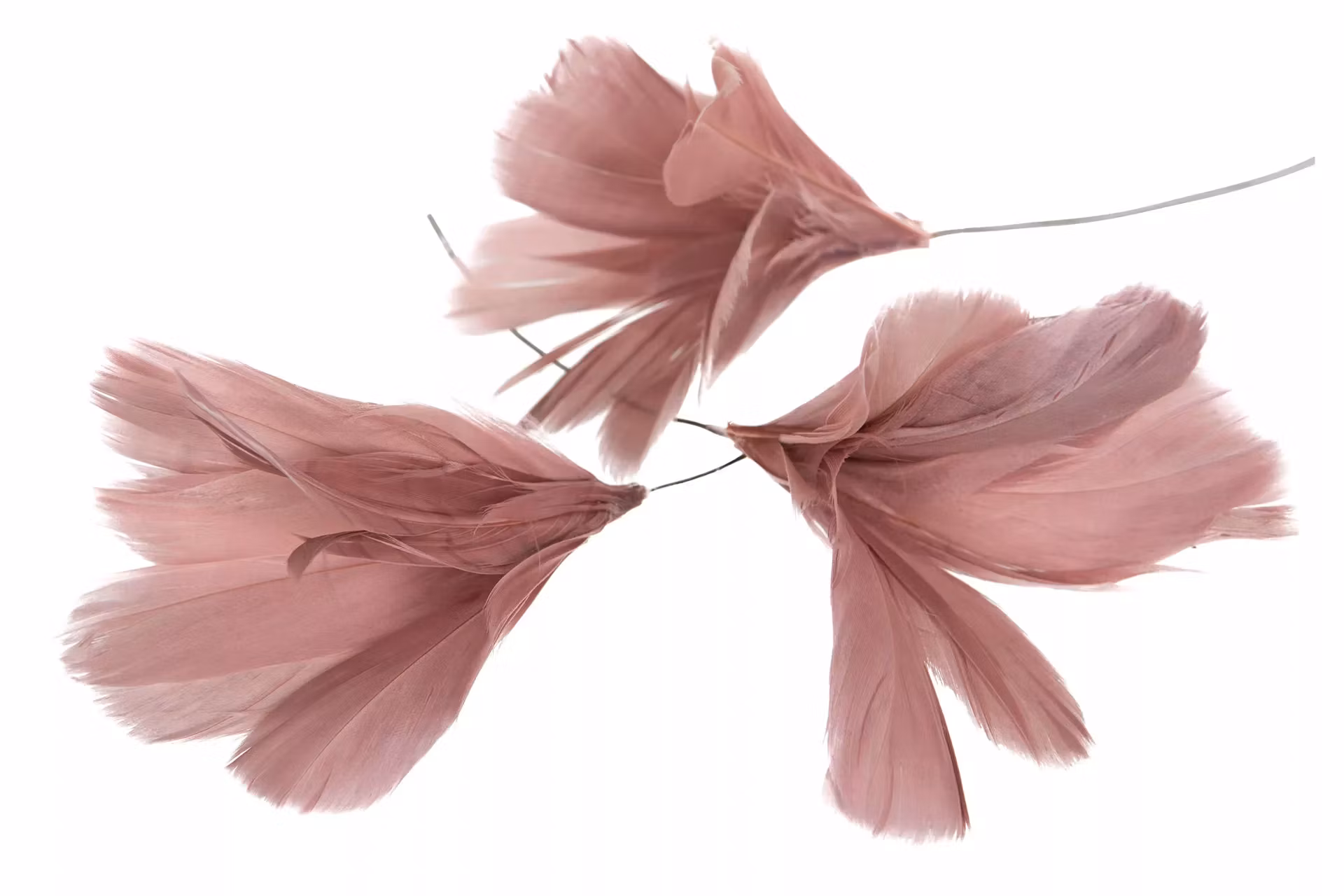 Fjäder Blom gammelrosa