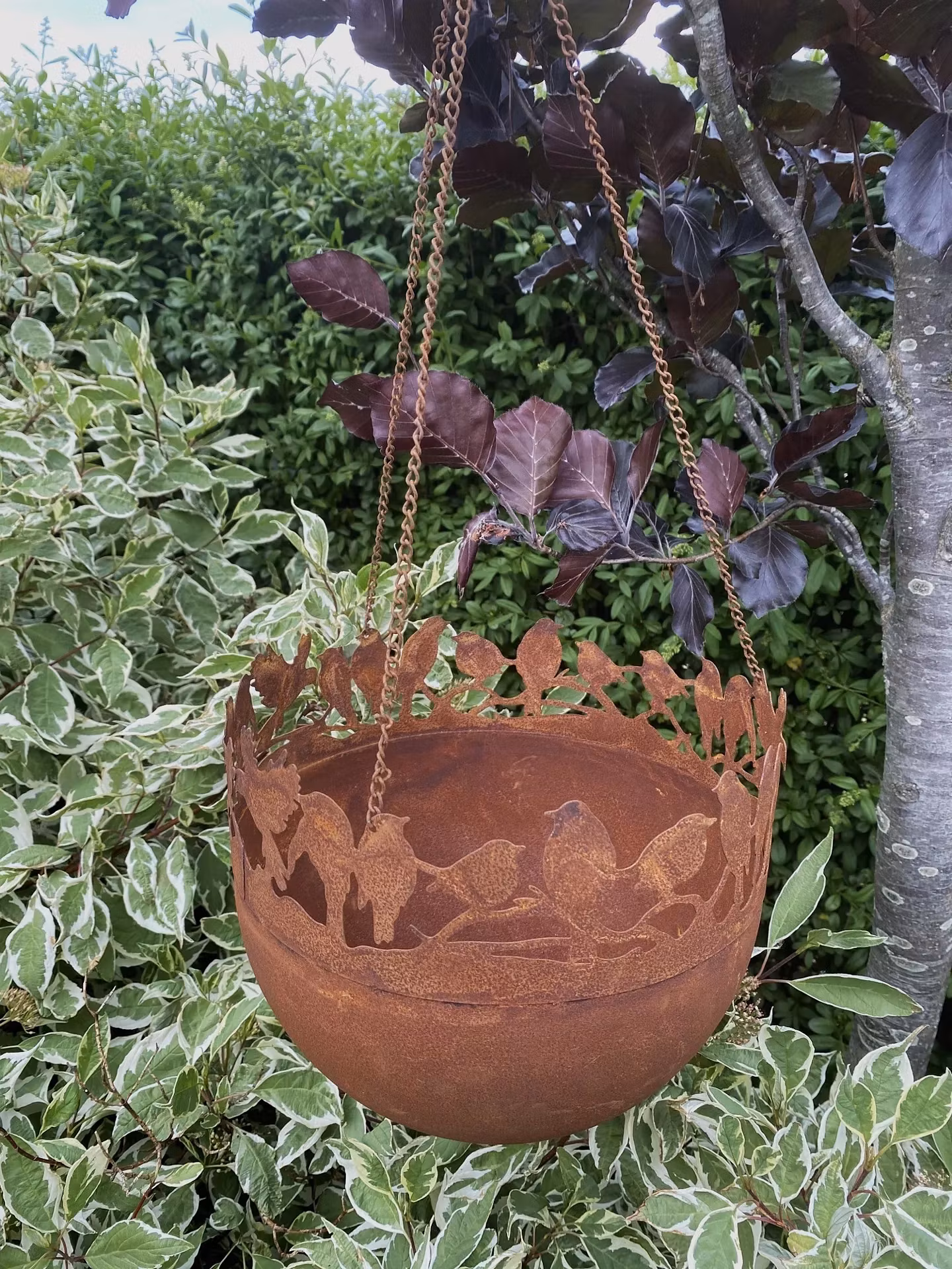 Blomsterampel Fåglar