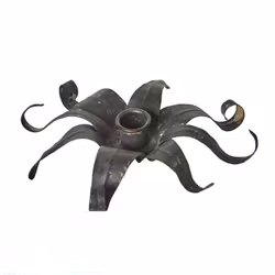 Ljusstake Tillandsia