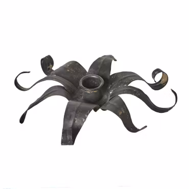 Ljusstake Tillandsia