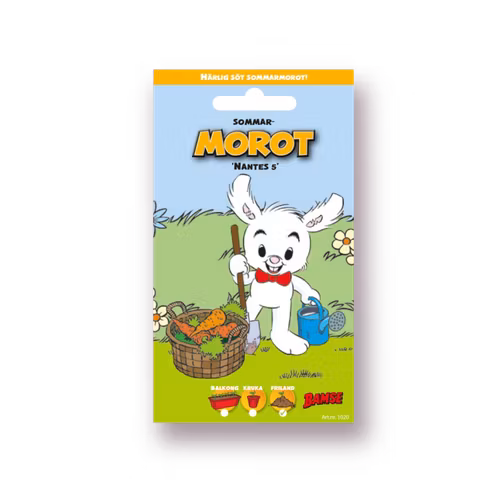 Bamsefrön - Morot Sommar - Nantes 5