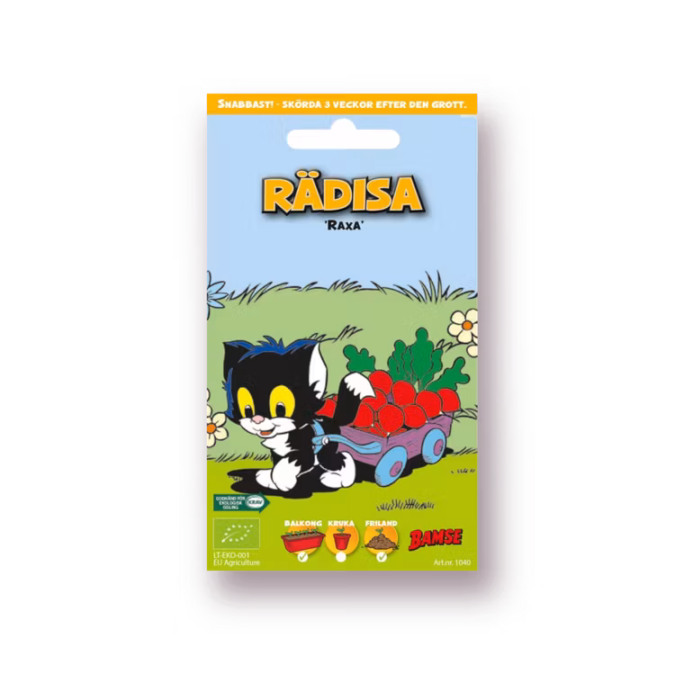 Bamsefrön - Rädisa - Raxa
