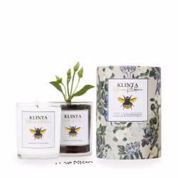 Doftljus - Bambu & Olivblomma - Klinta - Botaniska Kollektionen