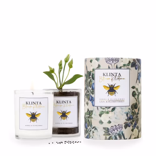 Doftljus - Bambu & Olivblomma - Klinta - Botaniska Kollektionen
