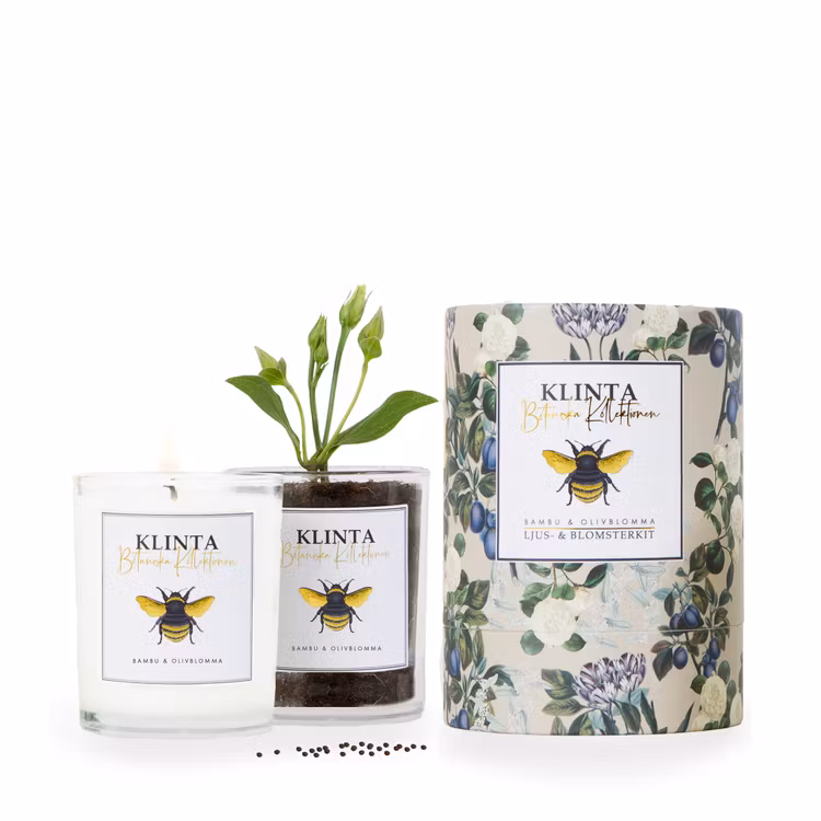 Doftljus - Bambu & Olivblomma - Klinta - Botaniska Kollektionen