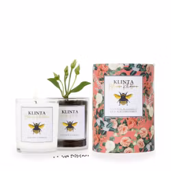 Doftljus - Vildfikon & Vindruva - Klinta - Botaniska Kollektionen