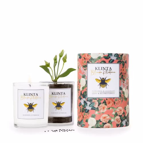 Doftljus - Vildfikon & Vindruva - Klinta - Botaniska Kollektionen