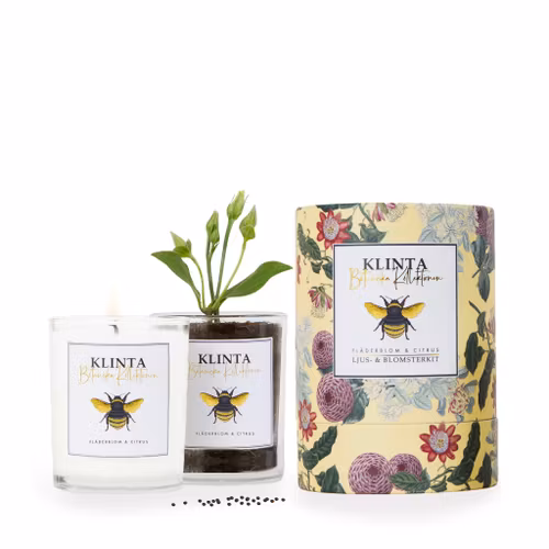 Doftljus - Fläderblom & Citrus - Klinta - Botaniska Kollektionen
