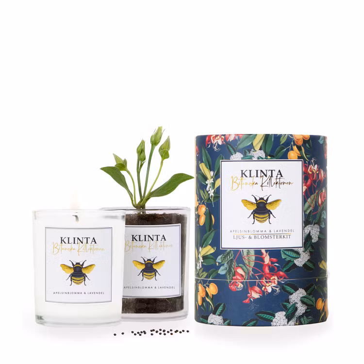 Doftljus - Apelsinblomma & Lavendel - Klinta - Botaniska Kollektionen
