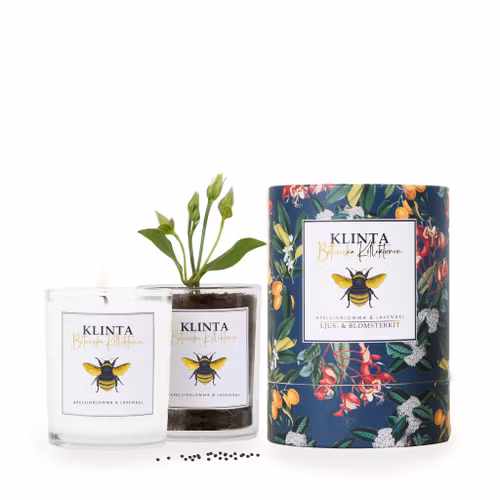 Doftljus - Apelsinblomma & Lavendel - Klinta - Botaniska Kollektionen