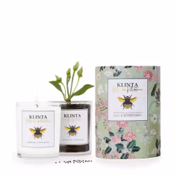 Doftljus - Bärnsten & Tonkaböna - Klinta - Botaniska Kollektionen