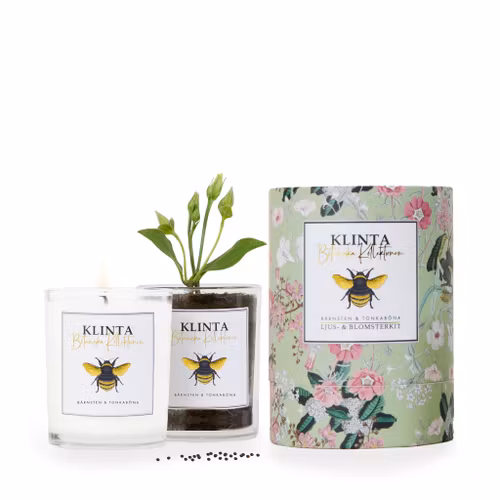 Doftljus - Bärnsten & Tonkaböna - Klinta - Botaniska Kollektionen