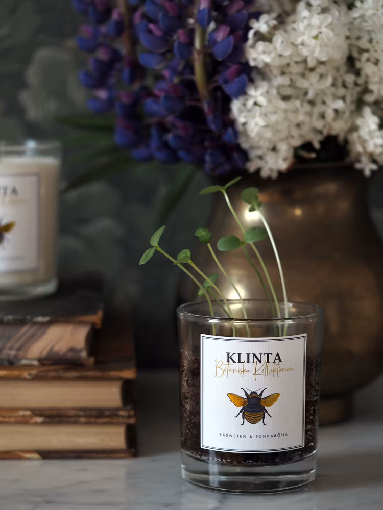 Doftljus - Hallon & Kvitton - Klinta - Botaniska Kollektionen