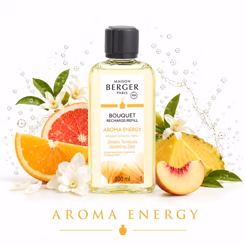 Maison Berger - Aroma Energy - Refill doftpinnar
