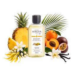 Maison Berger - Fruity Sun - Refill doftpinnar