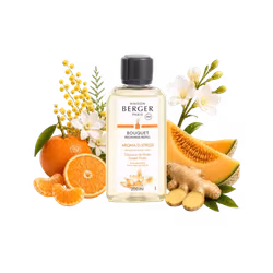 Maison Berger - Aroma D-stress - Refill doftpinnar