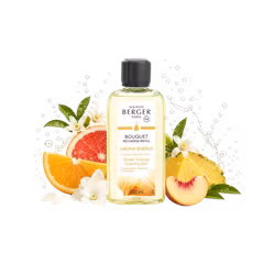 Maison Berger - Aroma Energy - Refill doftpinnar