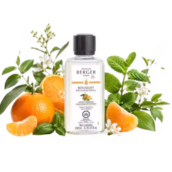 Maison Berger - Mandarin Aromatique - Refill doftpinnar
