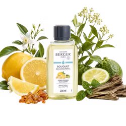 Maison Berger - Tonic Lemon - Refill doftpinnar