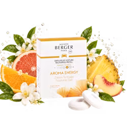 Refill bildoft - Aroma Energy - Maison Berger