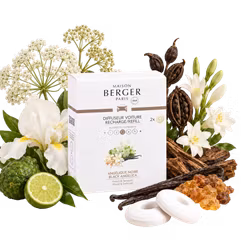 Refill bildoft - Black Angelica - Maison Berger