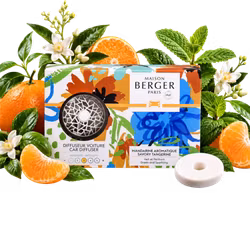 Maison Berger - Mandarin Aromatique - Komplett Bildoft