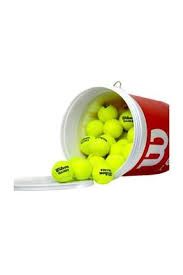 Wilson Team Trainer