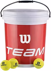 Wilson Team Trainer