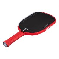 Joola Agassi Pro IV