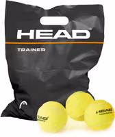 Head Trainer 72st
