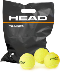 Head Trainer 72st