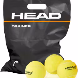 Head Trainer 72st