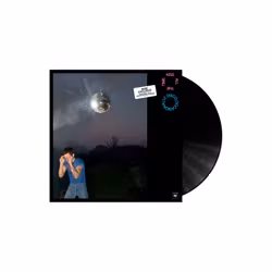 HARRY STYLES - KISS ALL THE TIME. DISCO, OCCASIONALLY