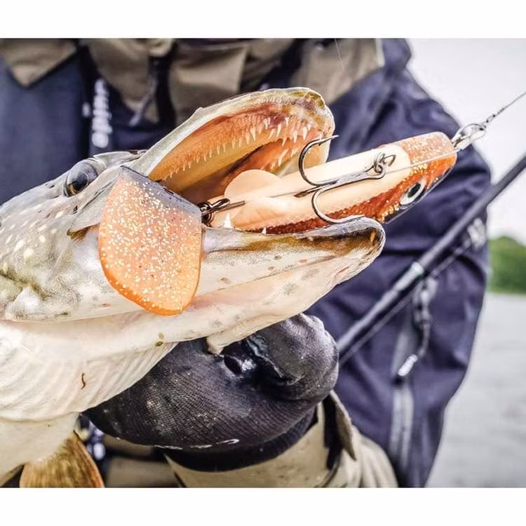 Maxximus Predator Softy Conrad 24cm/105g