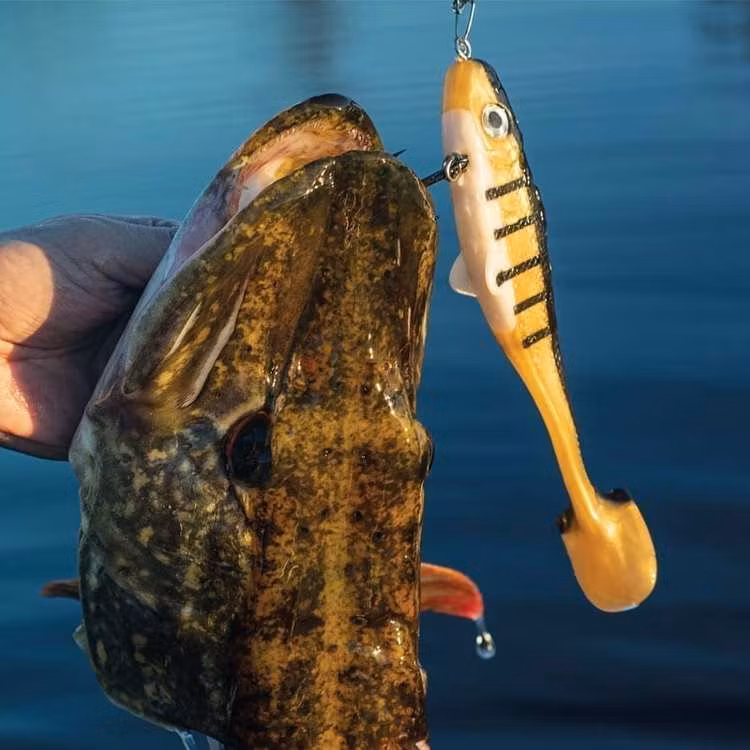 Maxximus Predator Softy Conrad 24cm/105g